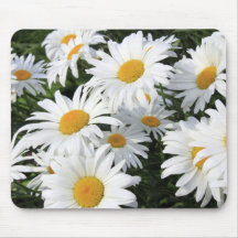 Gänseblümchen-Blumen, die weiß wachsen Mousepads