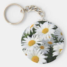 Gänseblümchen-Blumen, die weiß wachsen Schlüsselbänder