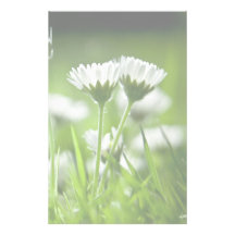 Gänseblümchen Büropapiere
