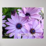GÄNSEBLÜMCHEN lila Blumen 1 Kunst druckt Plakat-Ku