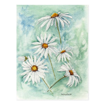 "Gänseblümchen-" Postkarte