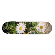 GÄNSEBLÜMCHEN SKATEBOARD BRETTER