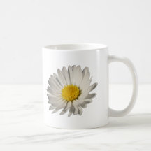 Gänseblümchen Teetassen