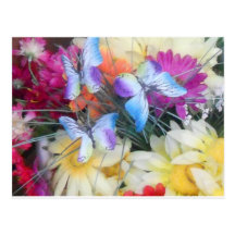 Gänseblümchen und Schmetterlinge Postkarten