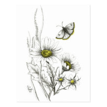 Gänseblümchen und Schmetterlings-Postkarte