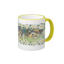 Gänseblümchen verfolgt Yorkie Welpen Tasse
