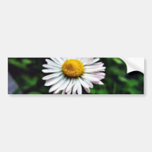 Gänseblümchen-Weiß-Blume Auto Aufkleber