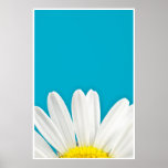 Gänseblümchenblumenblattplakat