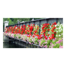gardenbridge01 personalisierte foto karte