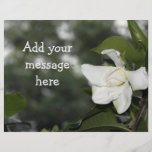 Gardenia-Hintergrund-Flyer