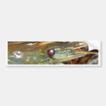 Garnele Autosticker