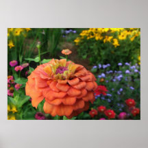 Garten-Farben Plakat