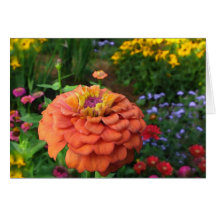 Garten färbt Ostern Grußkarten
