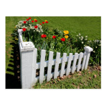 Garten-Tulpen mit weißer Palisadenzaun-Postkarte