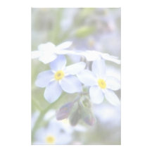 Garten-Vergissmeinnichte Personalisiertes Büropapier