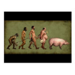 Geänderte Evolution Postkarten