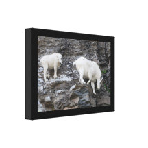 Gebirgsziege Leinwand Druck