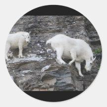 Gebirgsziege Sticker