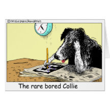 Gebohrte Grenzcollie-lustige Geschenk-T-Shirts-Sam Grußkarte