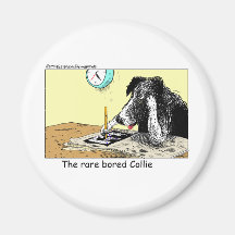 Gebohrte Grenzcollie-lustige Geschenk-T-Shirts-Sam Magnete