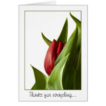Geburt einer Frühlings-roten Tulpe - Schablone Karten