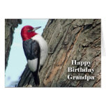 Geburtstag für Großvater, rothaariger Specht Grußkarten