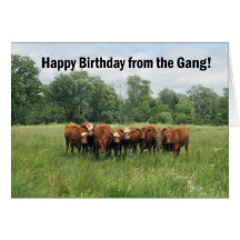 Geburtstag von der Gruppe Karten