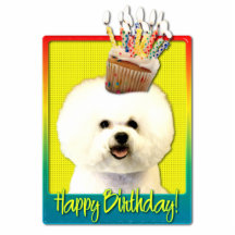 Geburtstags-kleiner Kuchen - Bichon Frise Fotoskulptur