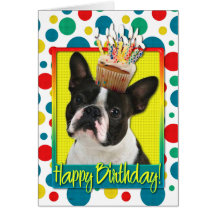 Geburtstags-kleiner Kuchen - Boston Terrier Grußkarten