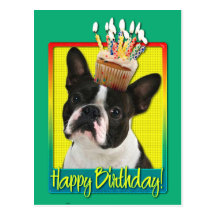 Geburtstags-kleiner Kuchen - Boston Terrier Postkarten