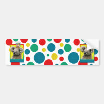 Geburtstags-kleiner Kuchen - Koala Auto Sticker