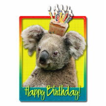 Geburtstags-kleiner Kuchen - Koala Photoskulpturen