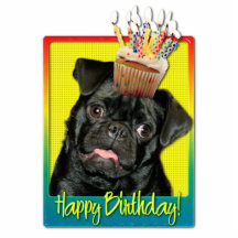 Geburtstags-kleiner Kuchen - Mops - Ruffy Photoausschnitte