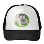 Geckig Netz Caps