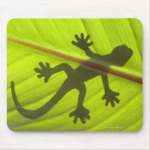 Gecko Mauspads
