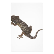 gecko personalisierte druckpapiere