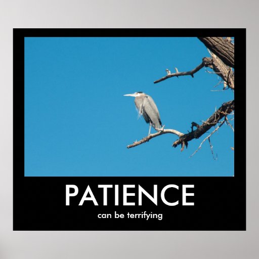 GEDULD, kann Demotivational Plakat erschrecken
