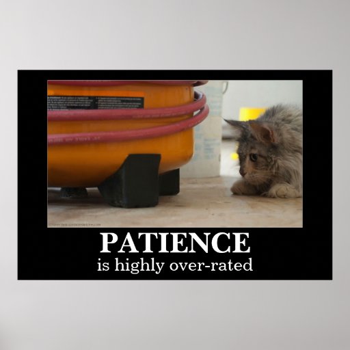 Gedulds-Katze und MausDemotivational Plakat