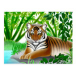 Gefährdete Sumatran Tiger-Postkarte