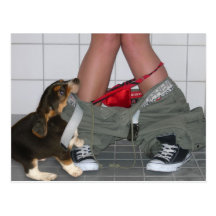 Gefangen mit meinen Hosen unten wieder, niedlicher Postkarten