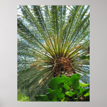 Gefilterte Überdachung Plakat