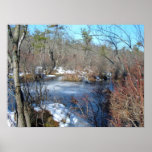 Gefrorener Sumpfgebiet-Teich Plakate
