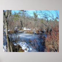 Gefrorener Sumpfgebiet-Teich Plakate