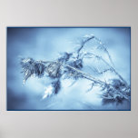 Gefrorenes Blumen-Plakat