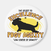 Geheimnis-Magnet des Agility-PBGV Kühlschrankmagnete