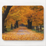 Gehen hinunter die alten Zeiten des Herbstes Mauspad