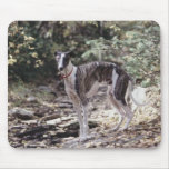 Gehen Windhund Mauspads