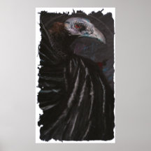 Geier-Plakat