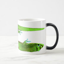 GEKKO MORGEN TASSEN