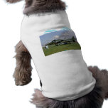 Geländeläufer jumpjet Flugzeug gegen den blauen Hi Haustier Tshirts